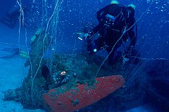 Helldiver Lionfish